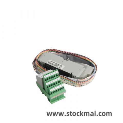 FOXBORO P0916AW System Module for Industrial Control Applications